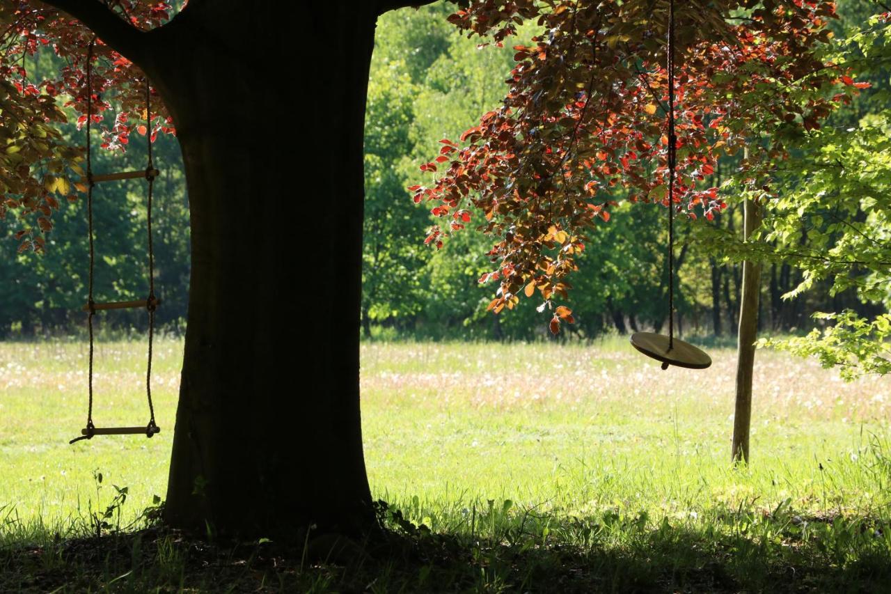 Heidebos Villa Opglabbeek Buitenkant foto