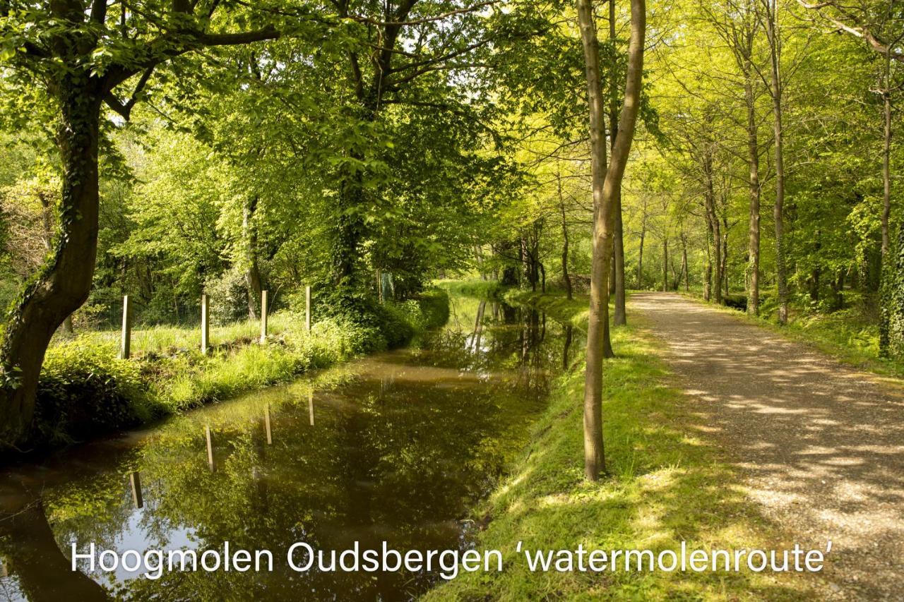 Heidebos Villa Opglabbeek Buitenkant foto