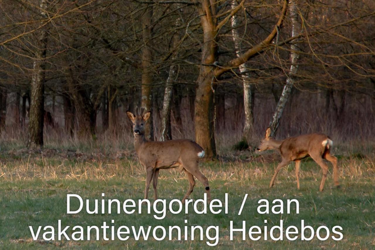 Heidebos Villa Opglabbeek Buitenkant foto