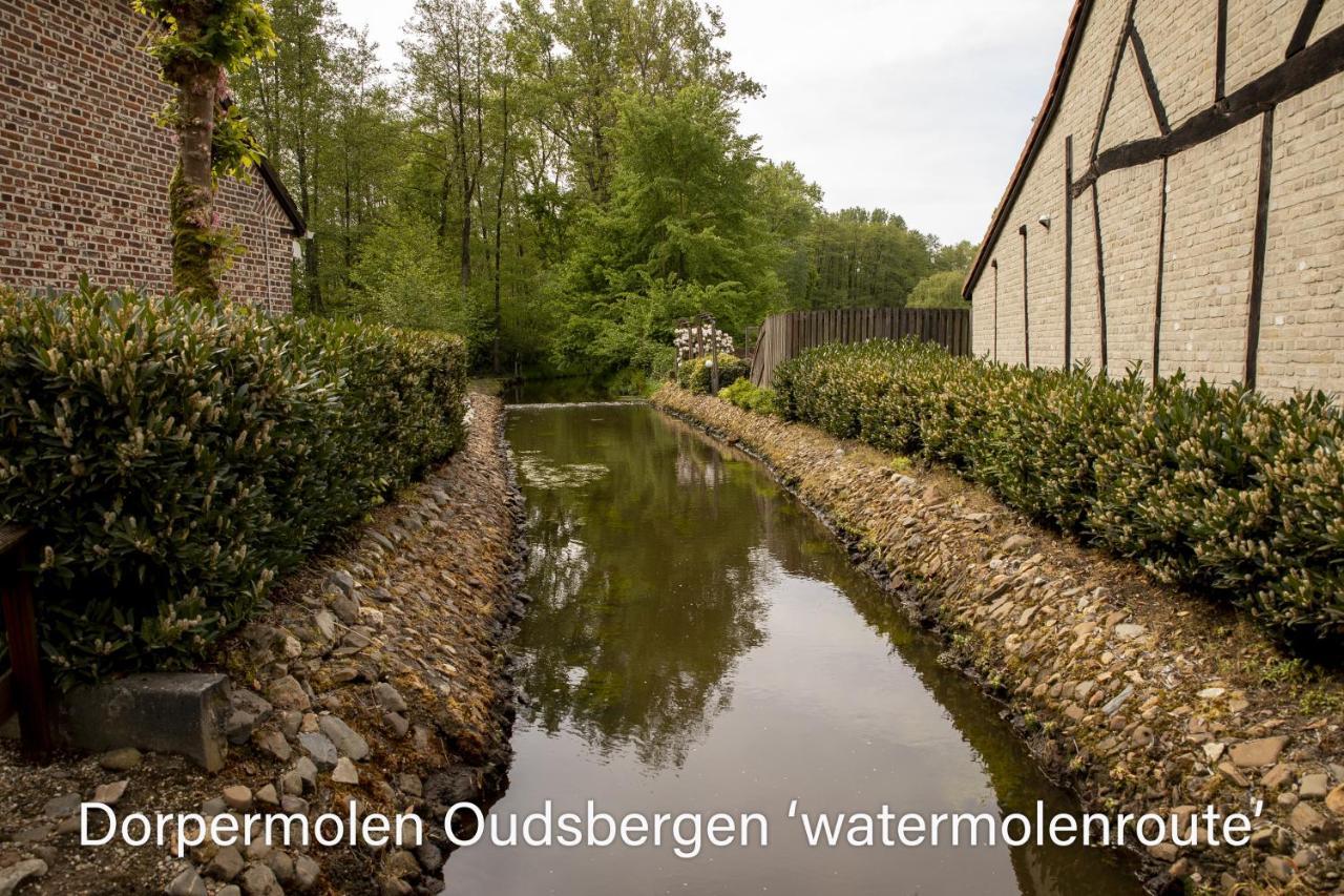 Heidebos Villa Opglabbeek Buitenkant foto