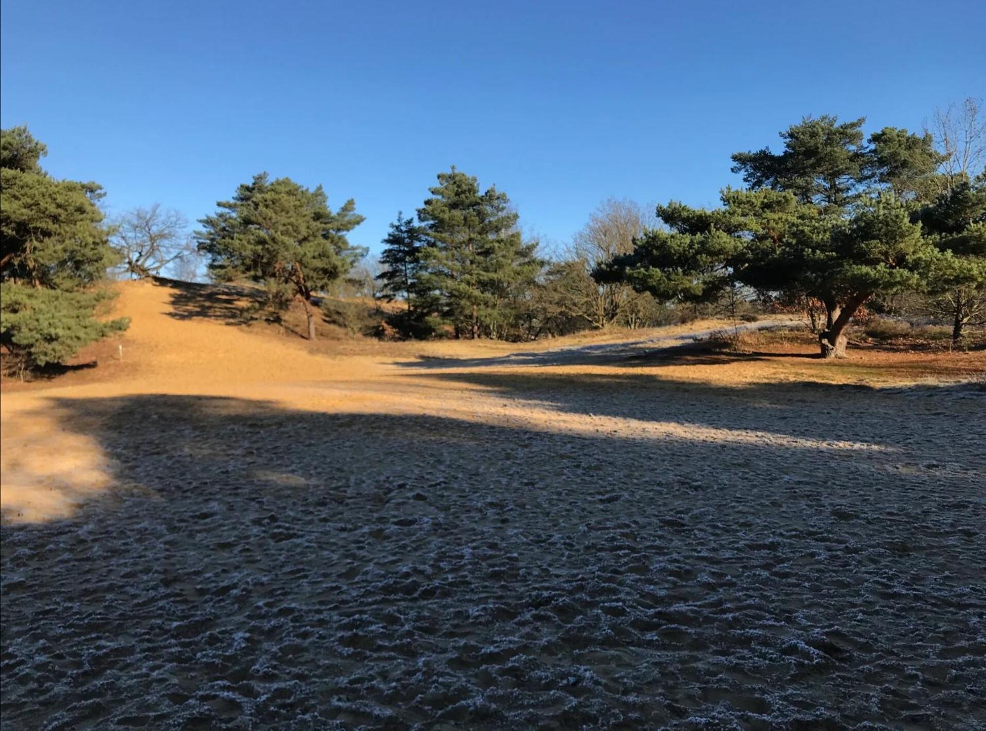 Heidebos Villa Opglabbeek Buitenkant foto