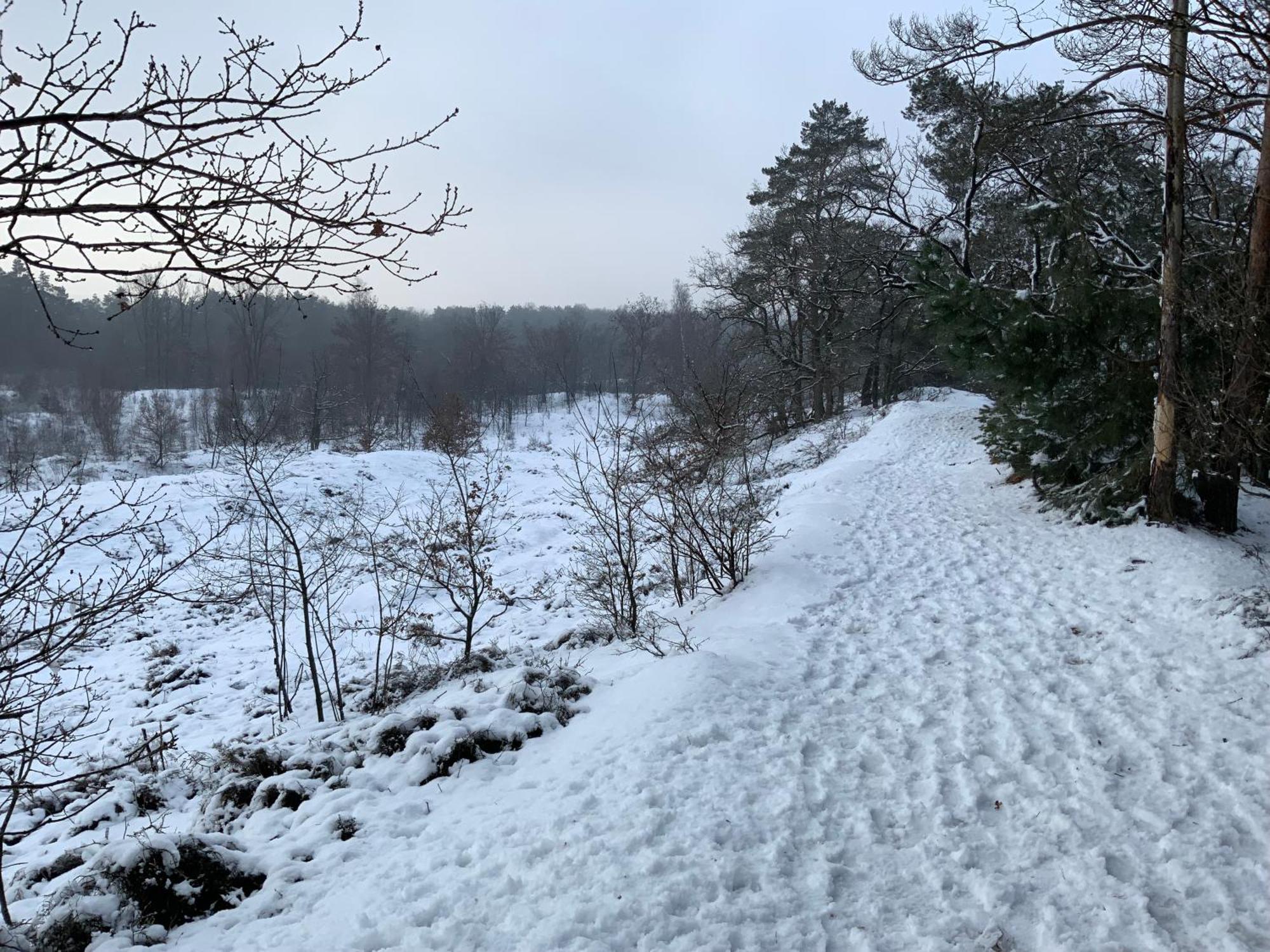Heidebos Villa Opglabbeek Buitenkant foto